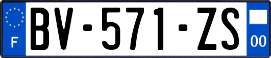 BV-571-ZS