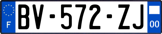 BV-572-ZJ