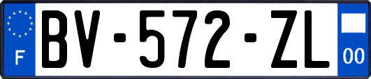 BV-572-ZL