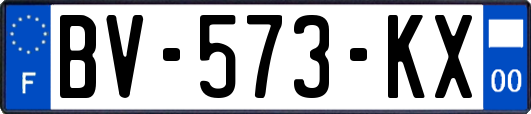BV-573-KX