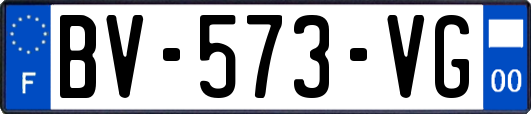 BV-573-VG