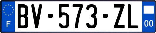 BV-573-ZL