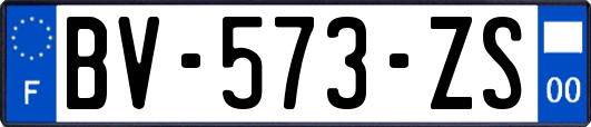 BV-573-ZS