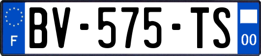 BV-575-TS