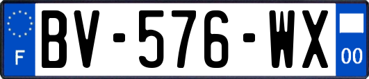 BV-576-WX