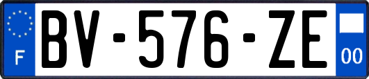 BV-576-ZE