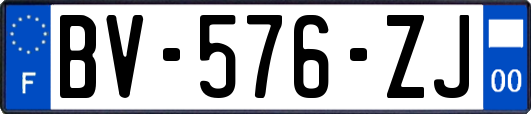 BV-576-ZJ