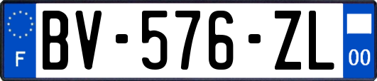 BV-576-ZL