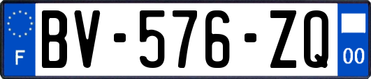 BV-576-ZQ