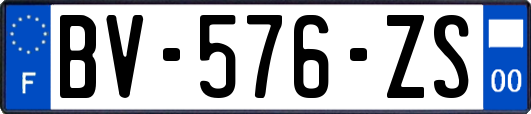 BV-576-ZS