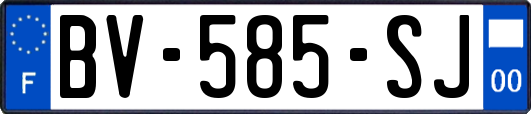 BV-585-SJ