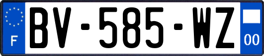 BV-585-WZ