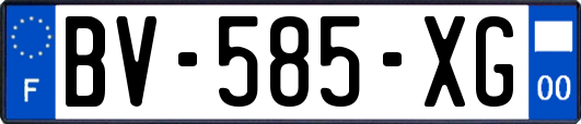 BV-585-XG