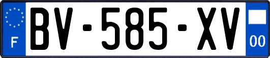 BV-585-XV