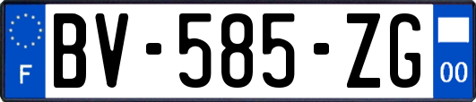 BV-585-ZG