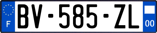 BV-585-ZL