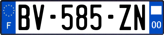 BV-585-ZN