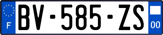 BV-585-ZS