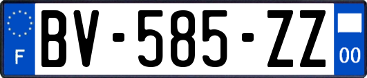 BV-585-ZZ