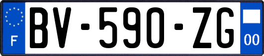 BV-590-ZG