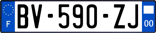 BV-590-ZJ