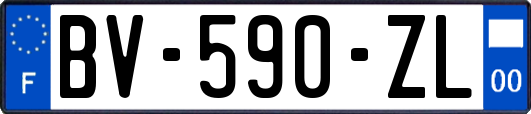 BV-590-ZL