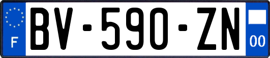 BV-590-ZN