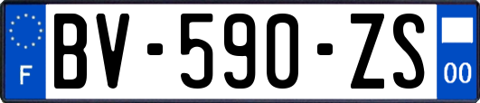 BV-590-ZS