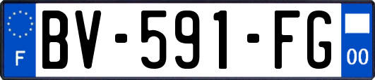 BV-591-FG