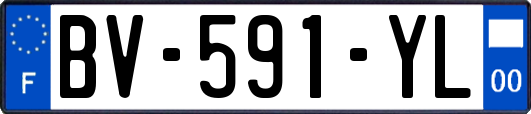BV-591-YL