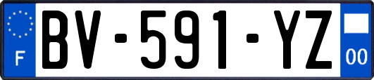 BV-591-YZ