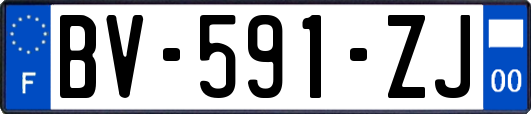 BV-591-ZJ