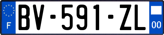 BV-591-ZL