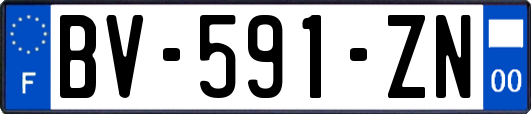 BV-591-ZN