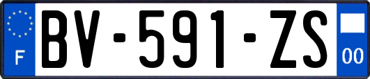 BV-591-ZS