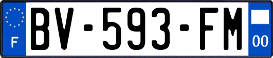 BV-593-FM
