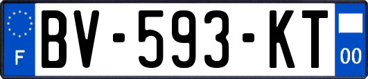 BV-593-KT