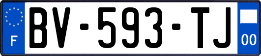 BV-593-TJ