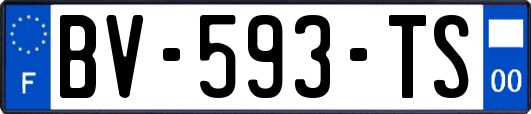 BV-593-TS