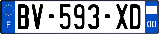 BV-593-XD