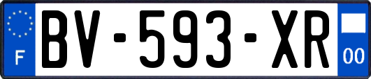BV-593-XR