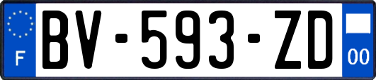 BV-593-ZD