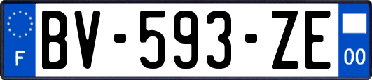 BV-593-ZE