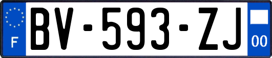 BV-593-ZJ