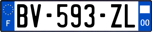 BV-593-ZL