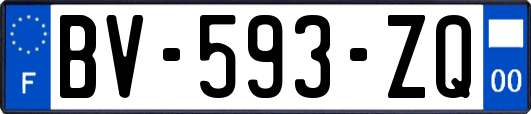 BV-593-ZQ