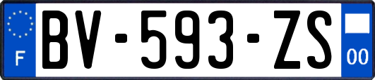 BV-593-ZS