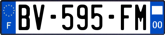 BV-595-FM