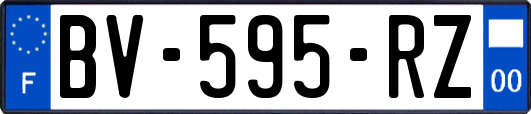 BV-595-RZ