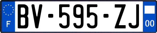 BV-595-ZJ